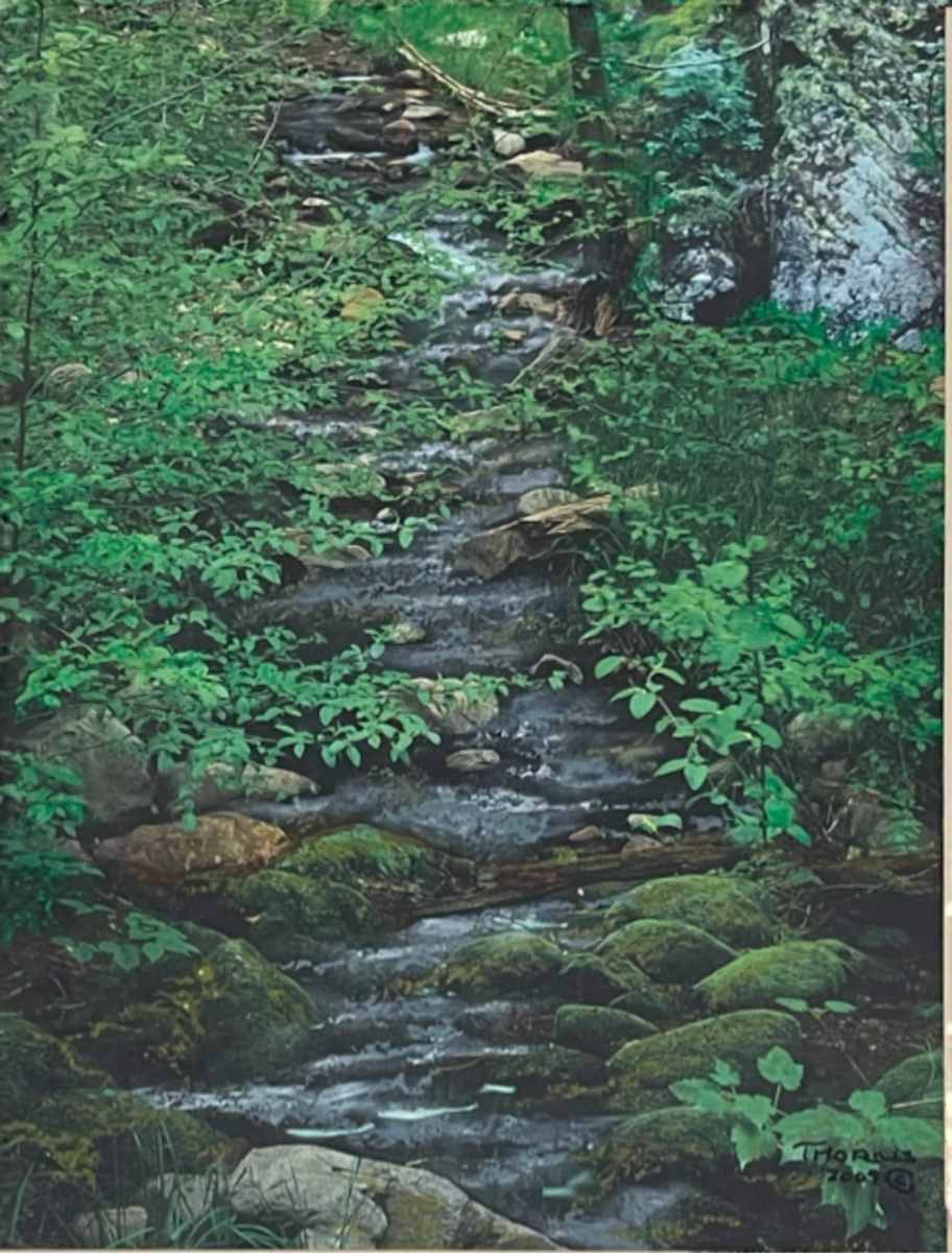 Hidden Site by John Thorns 