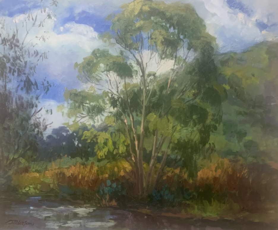 Hill Canyon by Doloris Pederson 