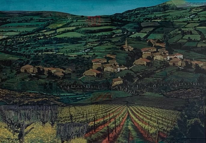 Vineyard Vista by John Thorns 