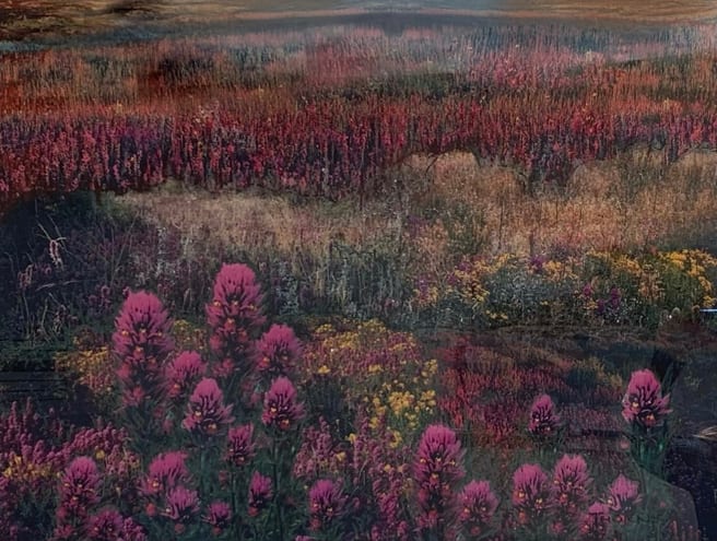 Floral #1 Series 4 by John Thorns 