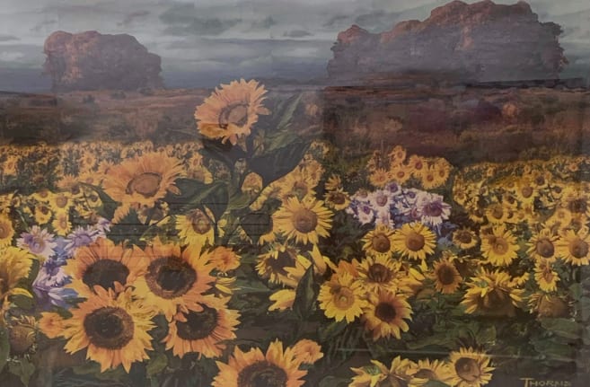 Jennifer’s Field of Gold by John Thorns 