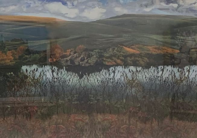 Back Road by John Thorns 