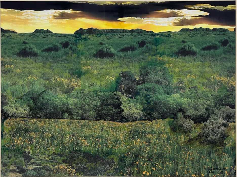 In Brilliant Gold by John Thorns 