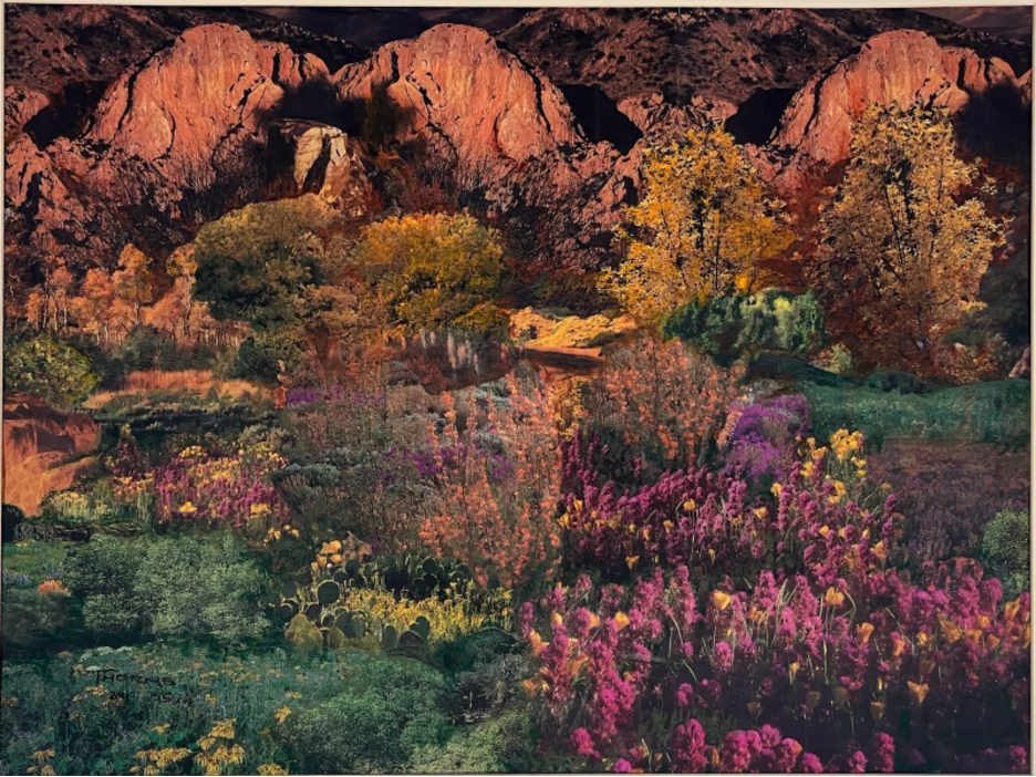 Nature in Full Color by John Thorns, Image 1.