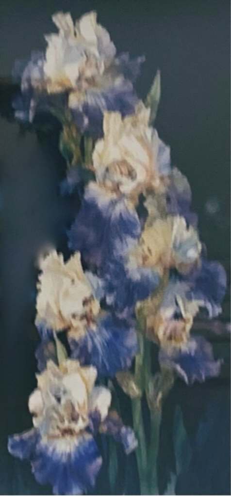 Night Light by Carolyn Loutzenhiser, Image 1.