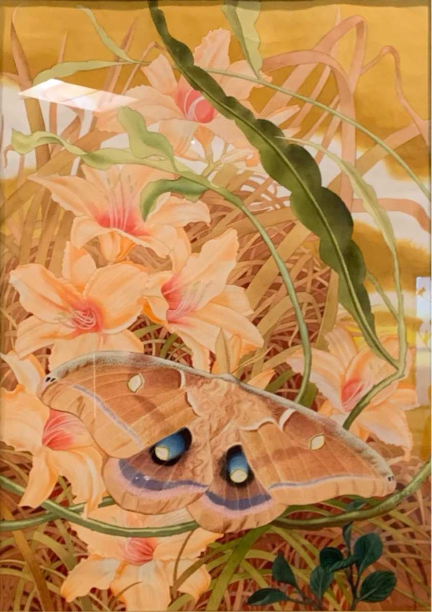 Polyphemus Moth by John Cody 