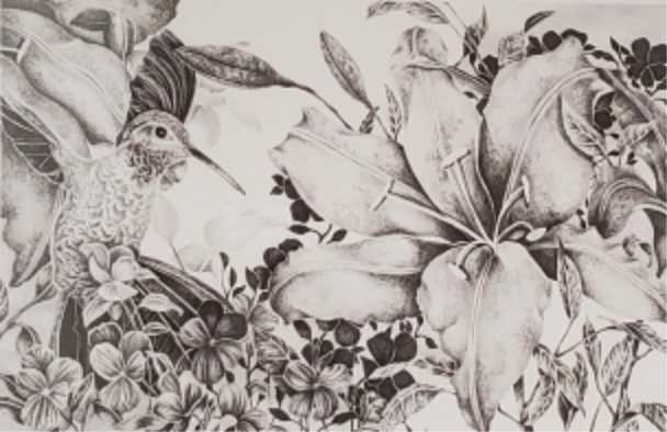 Serenade by Paula Huser, Image 1.