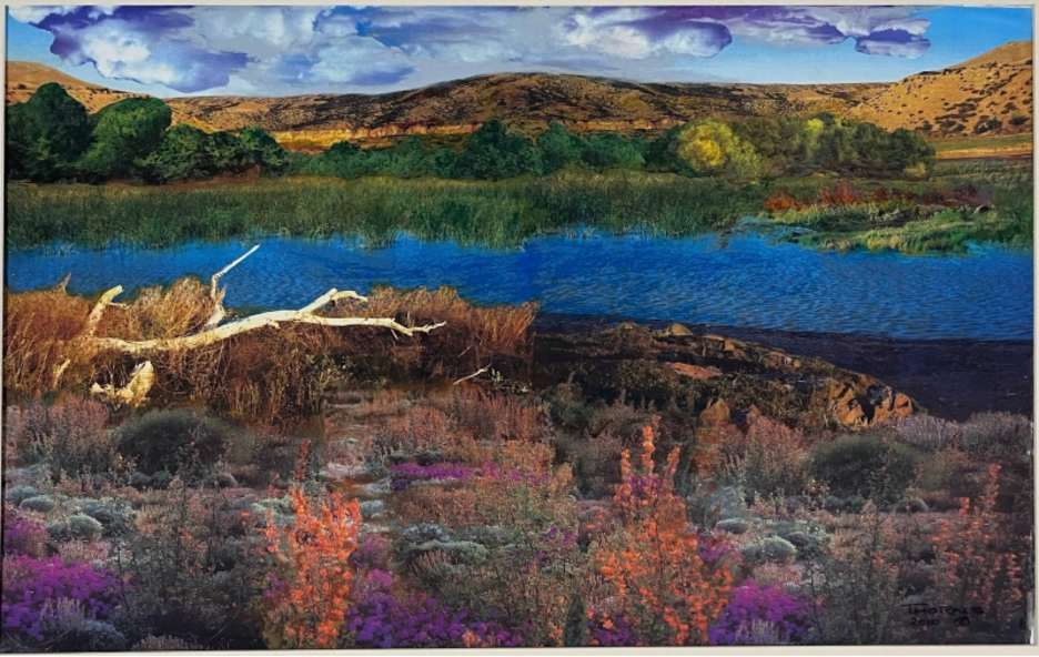 Wilderness in Bloom by John Thorns 