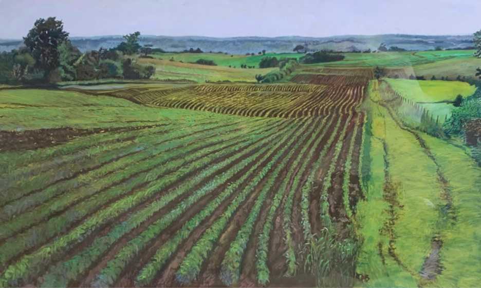 Wet Fields by Alice Broughton, Image 1.