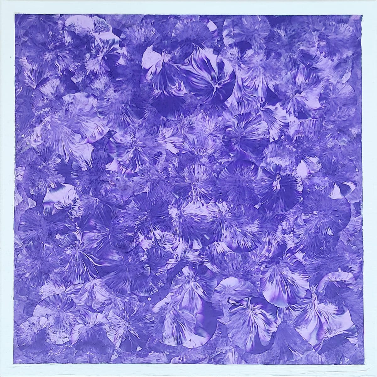 14 x 14 Purple Lavendar White - White Border is about 5-8 inch.jpg by Wilmington Art Gallery  Image: 14 x 14 Purple Lavendar White - White Border is about 5-8 inch.jpg