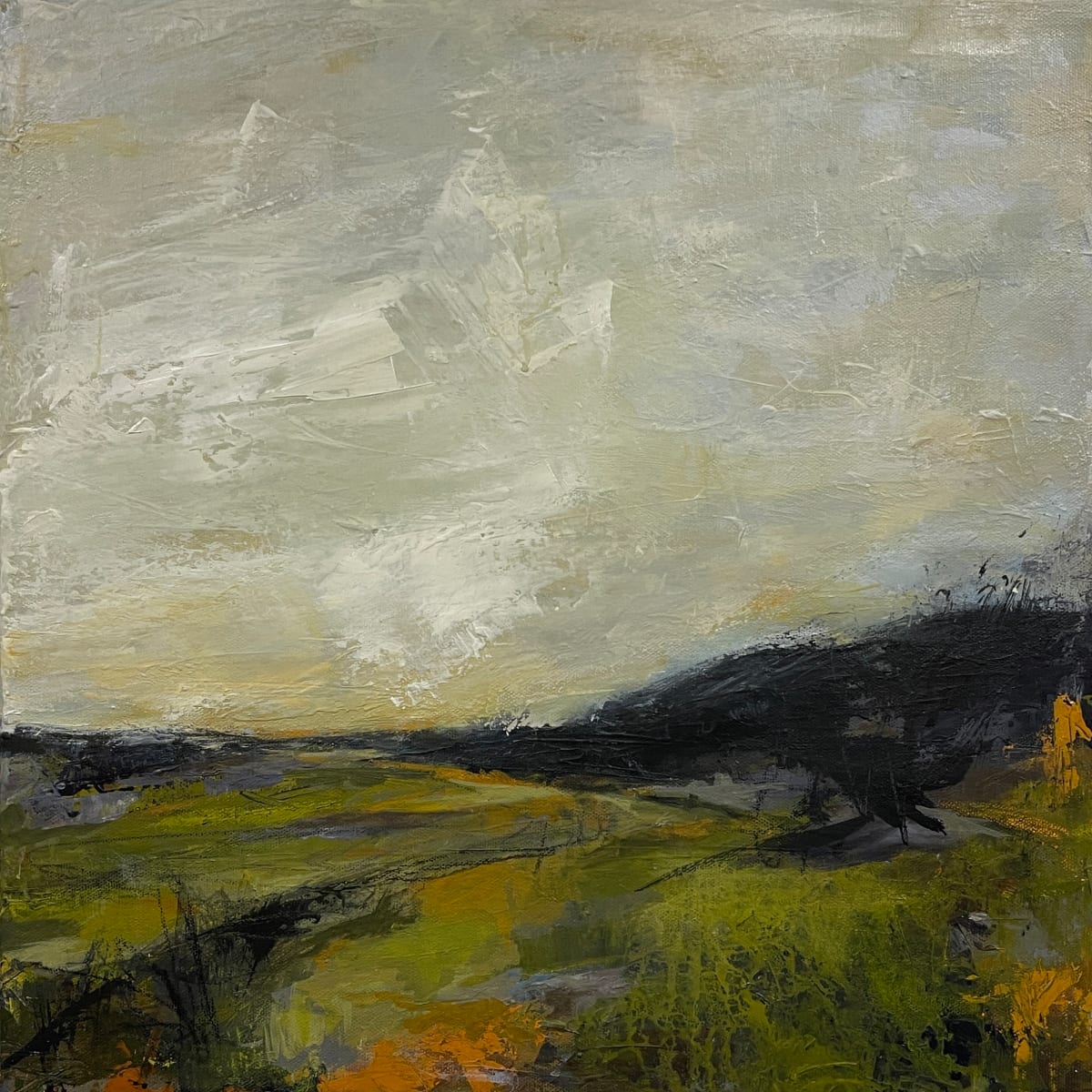 Grapevine Mountain Spring by Kelly Dillard, Image 1.