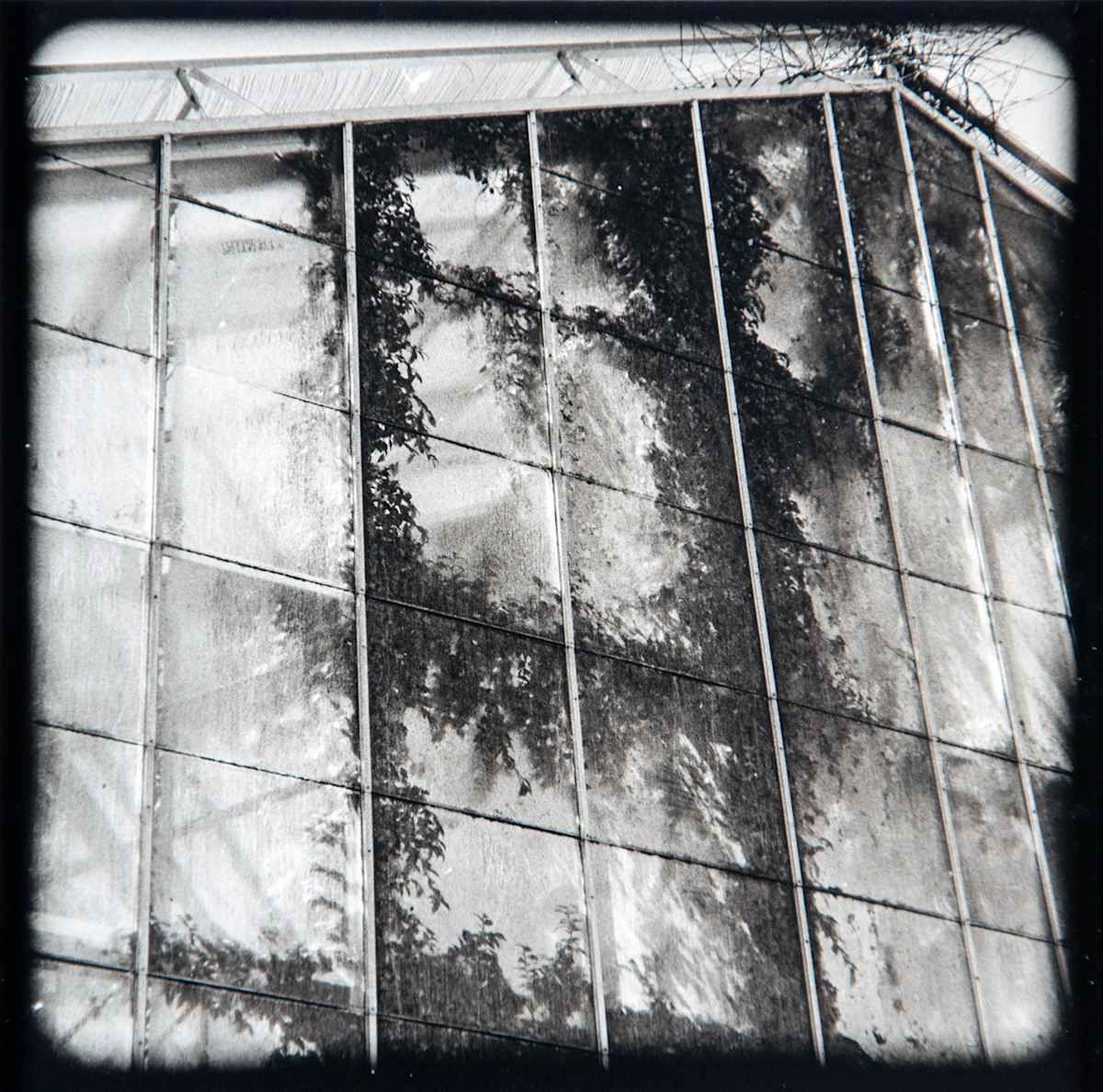 Glasshouse, Berkeley by Charles Marie Reilly, Image 1.