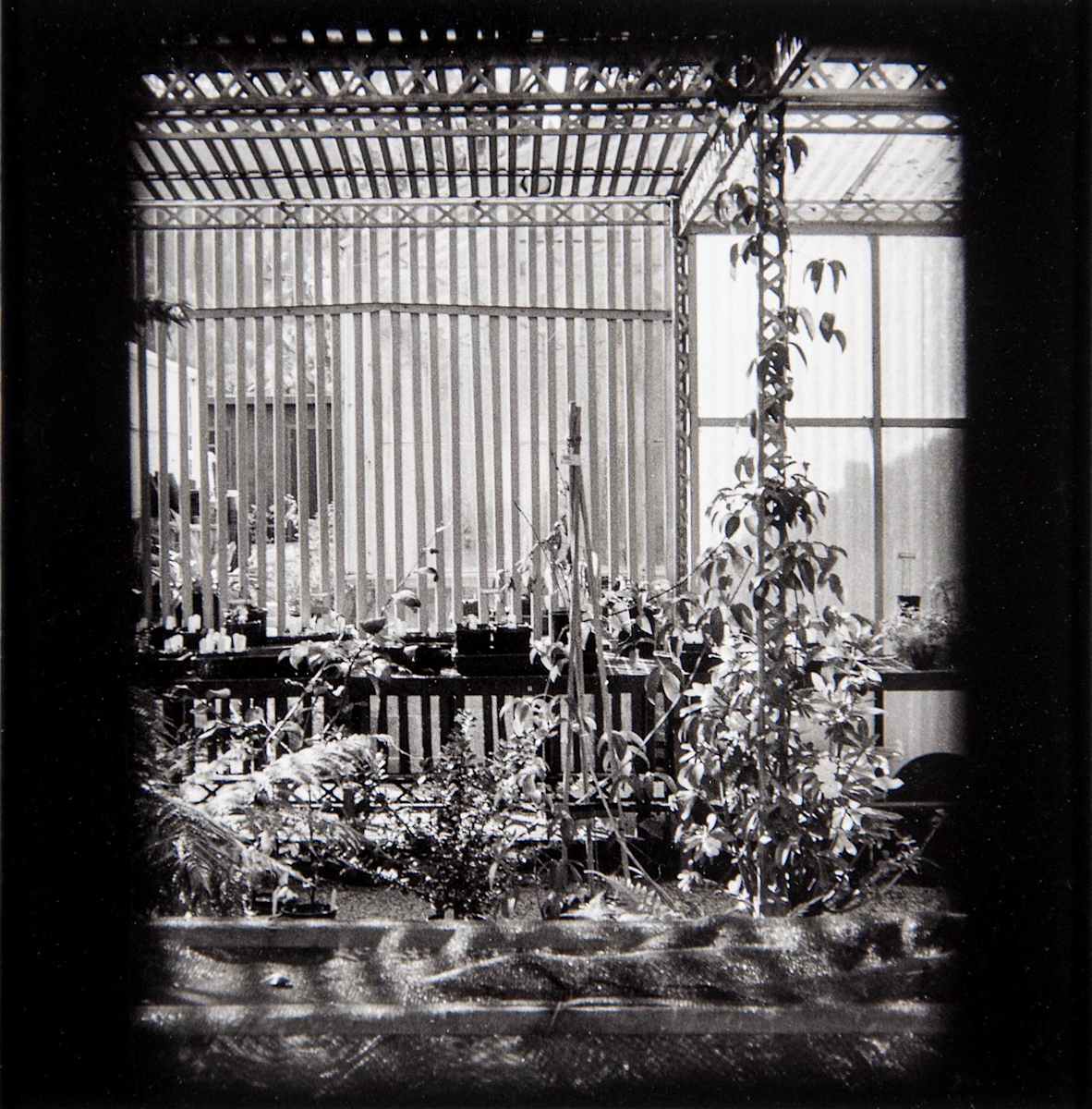 Potting Shed, Berkeley by Charles Marie Reilly, Image 1.