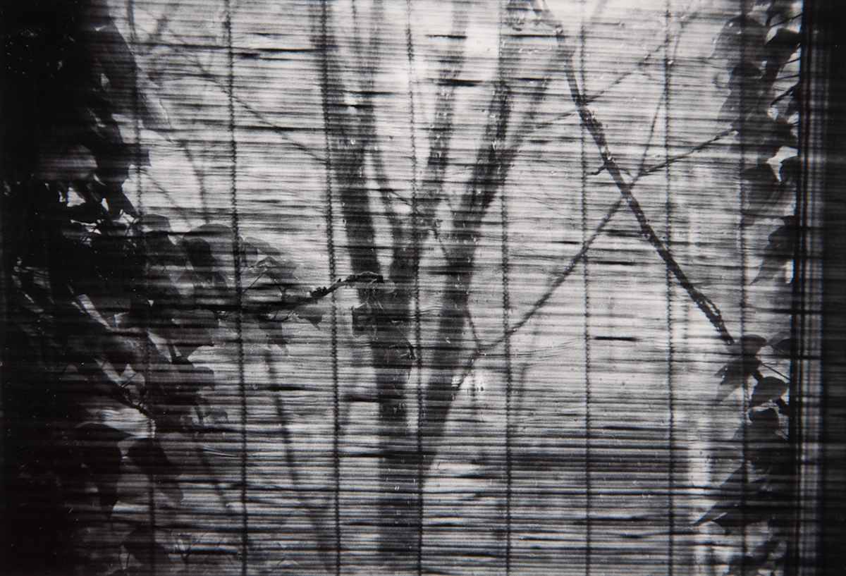 Window, Sydney Place by Charles Marie Reilly, Image 1.