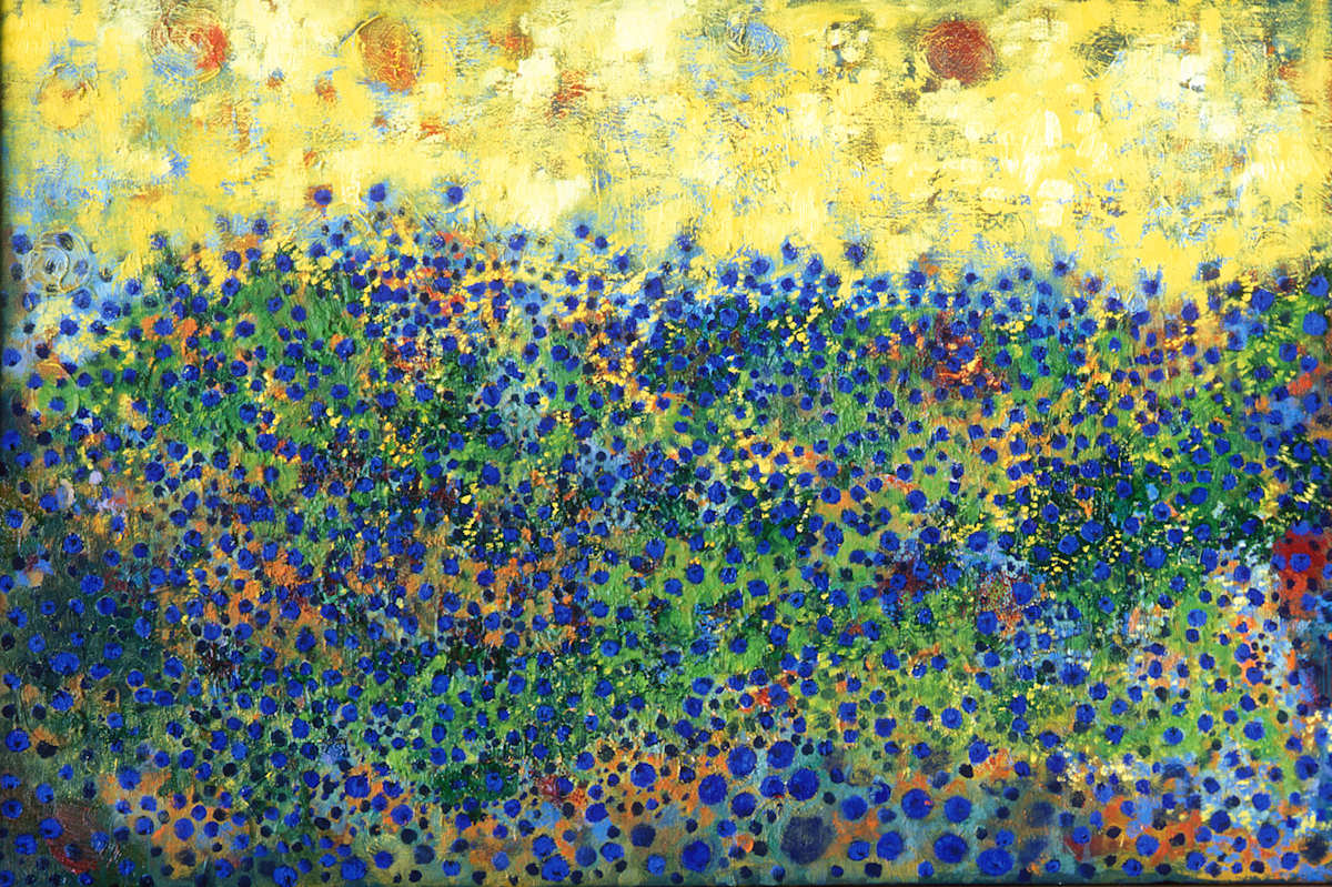blueberries by kimberly stemler, Image 1.