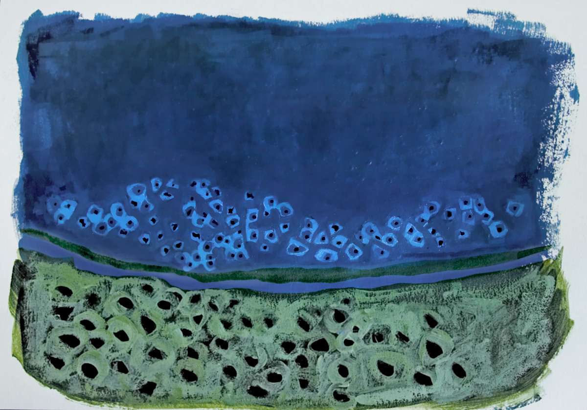 crows by kimberly stemler, Image 2.