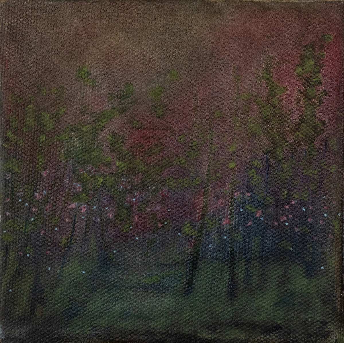 dawn by kimberly stemler, Image 2.