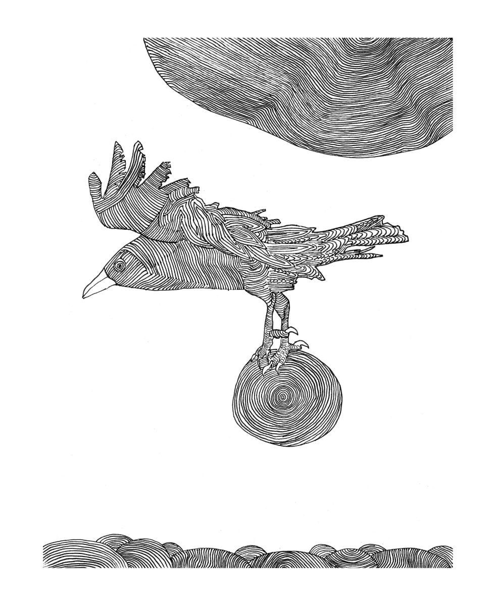 flying by kimberly stemler, Image 19.