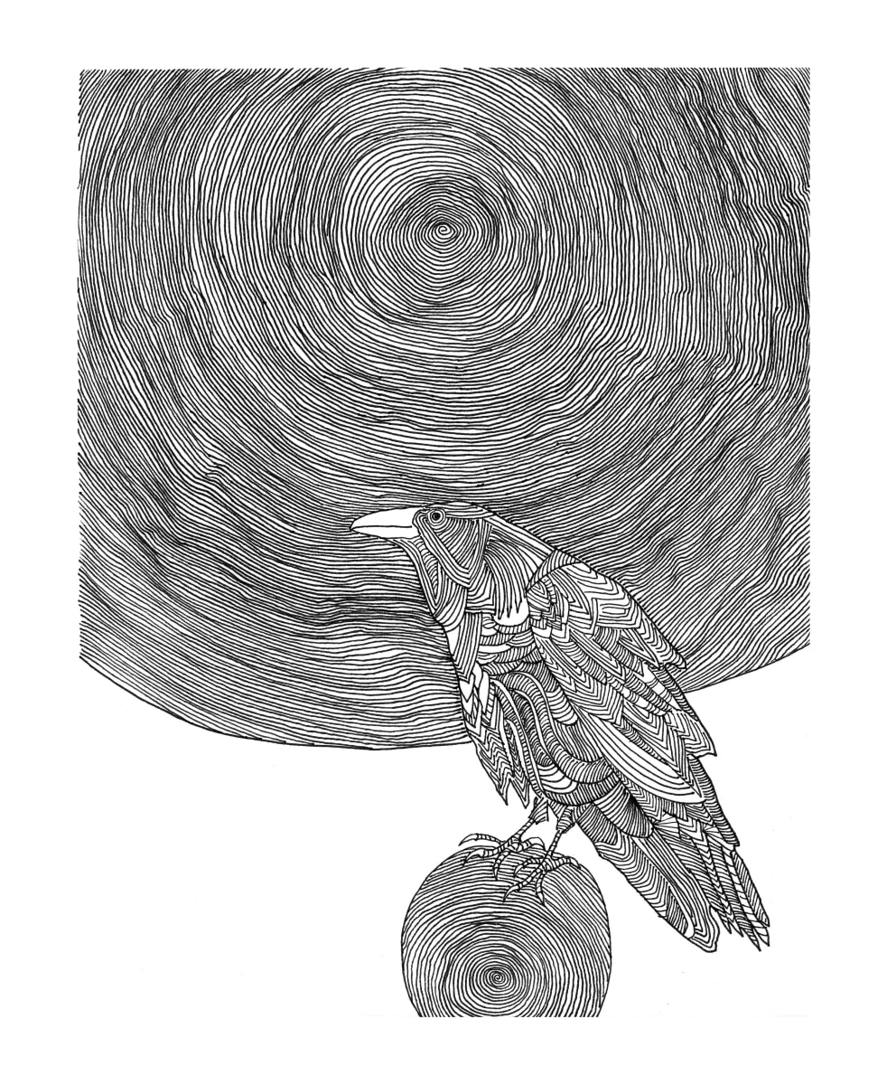 moon by Kimberly Stemler 