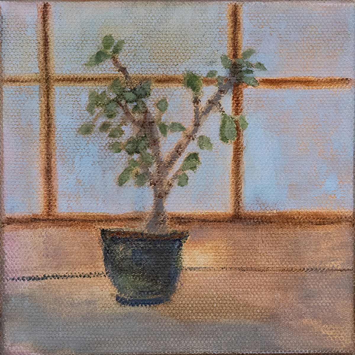poppop's jade by kimberly stemler, Image 1.