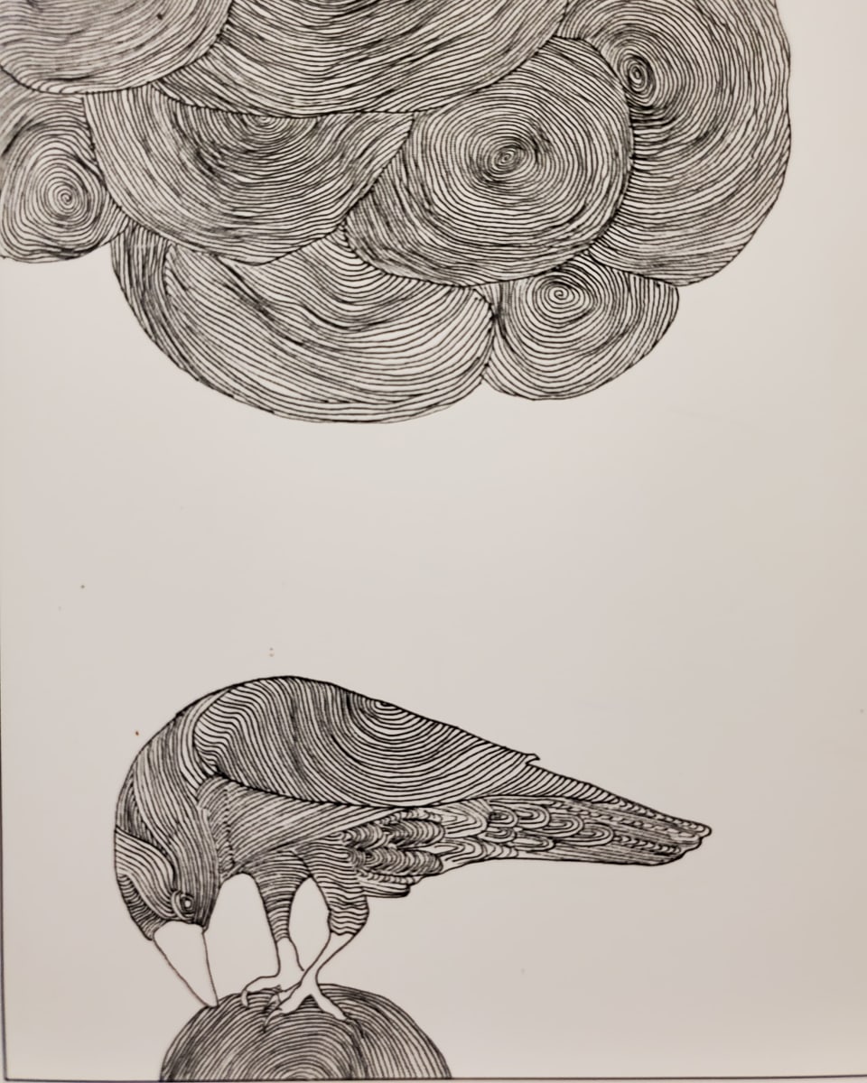 raven by kimberly stemler, Image 39.