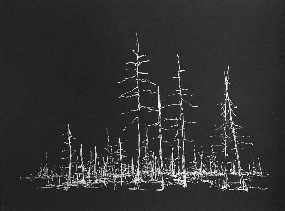 Cinders/Trees, Oregon 1 1/50 by Helen Dennis 