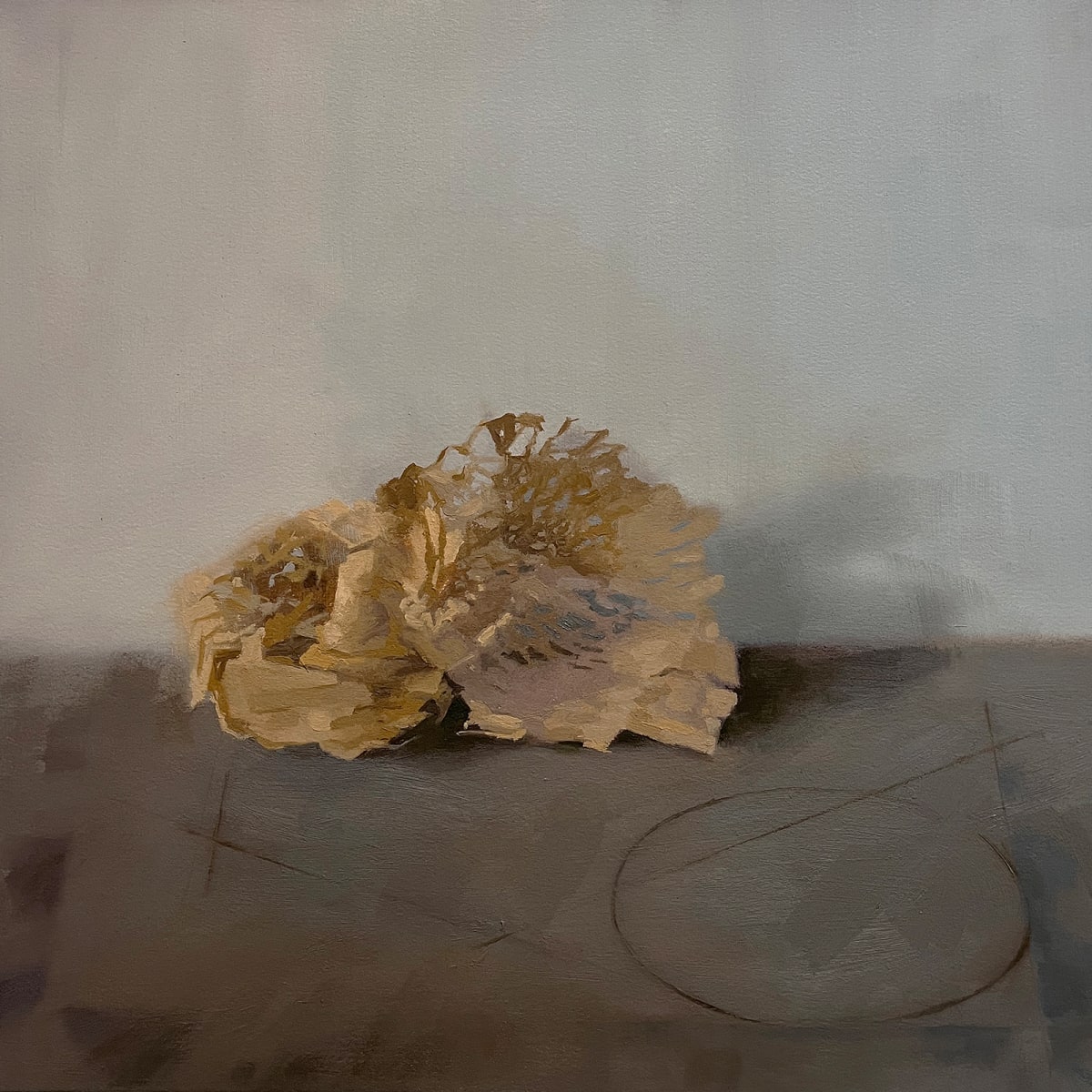 Bower by Samantha Haring 