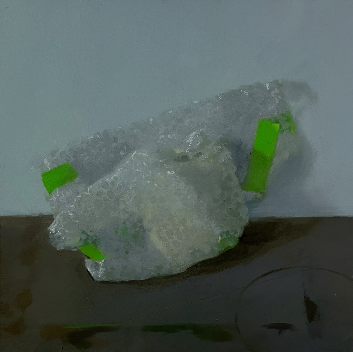 Delicate Ecologies by Samantha Haring 