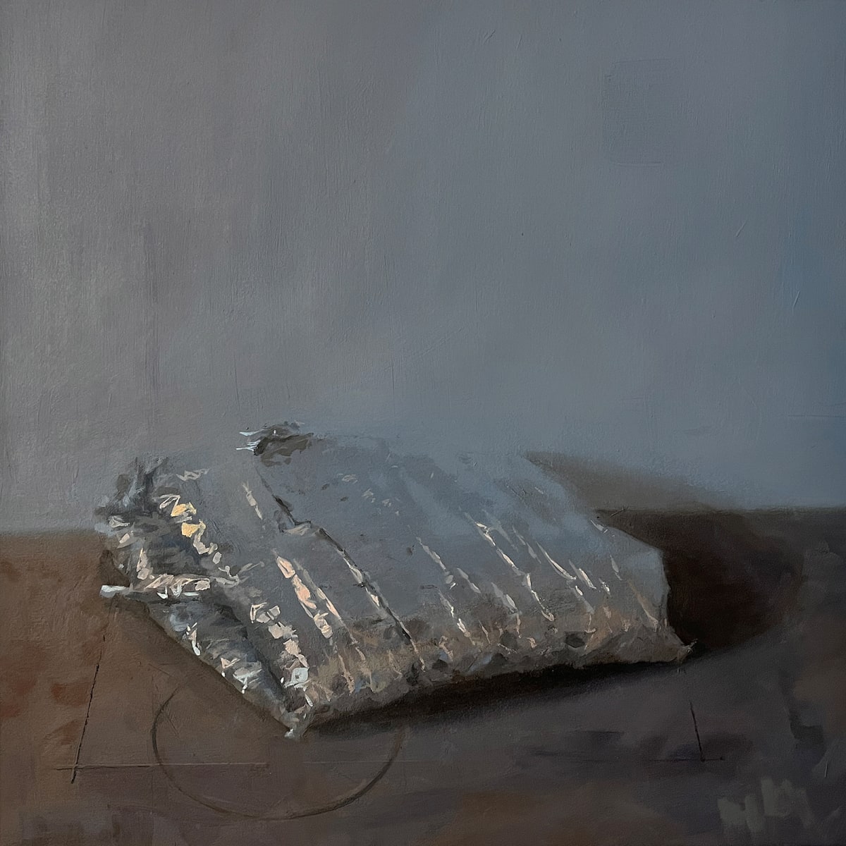 Something Shiny by Samantha Haring 