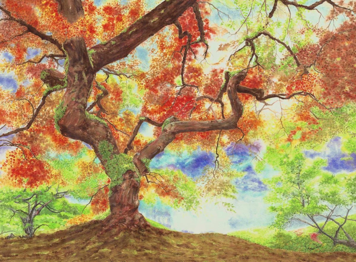 Into the Light by Pat Konicki 