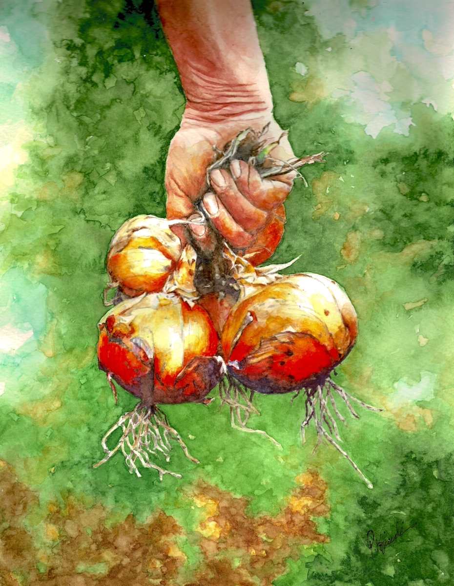 Ripe & Ready by Pat Konicki 