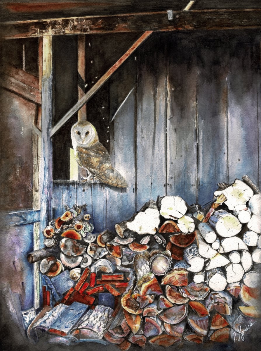 The Watcher by Pat Konicki 