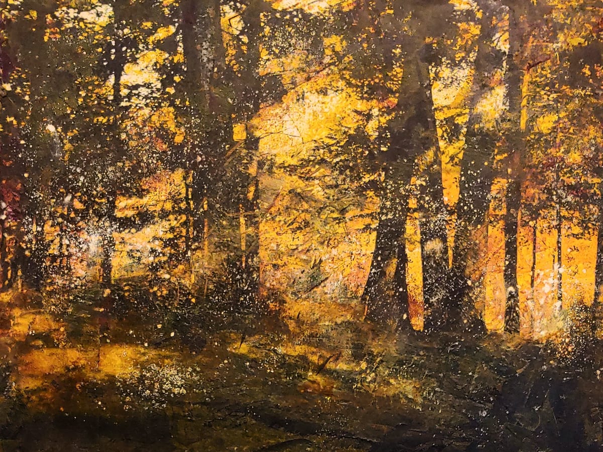 Evening Glow, Image 1.