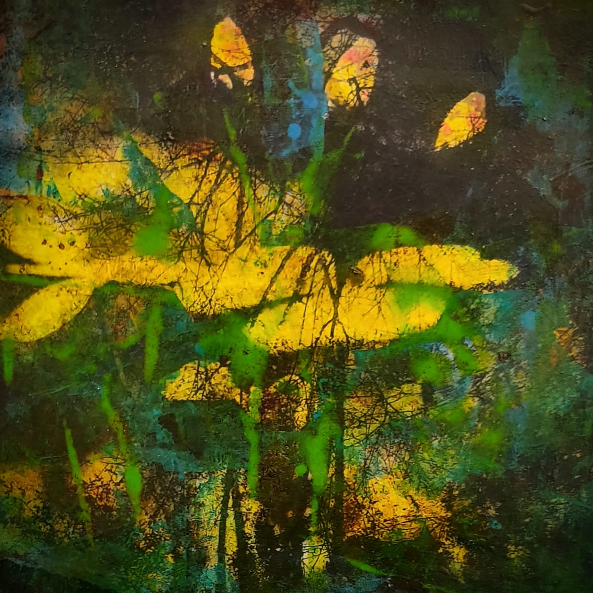 Forest Ballet, Image 1.