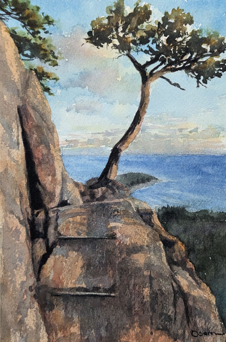 Beehive Sunset by Rick Osann Art  Image: A lone tree faces the sunset at the op of a Beehive ladder.