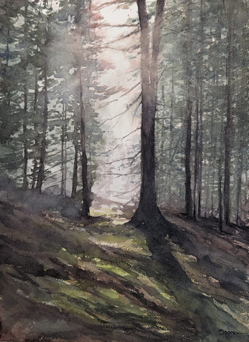Ethereal Woods by Rick Osann Art  Image: The hazy sun filters through the trees.