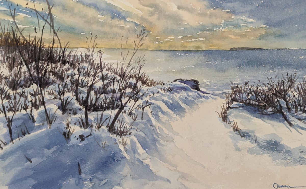 Fresh Snow by Rick Osann Art  Image: The late afternoon sun highlights the trail and the drifting snow under the bushes after a big storm on the island.