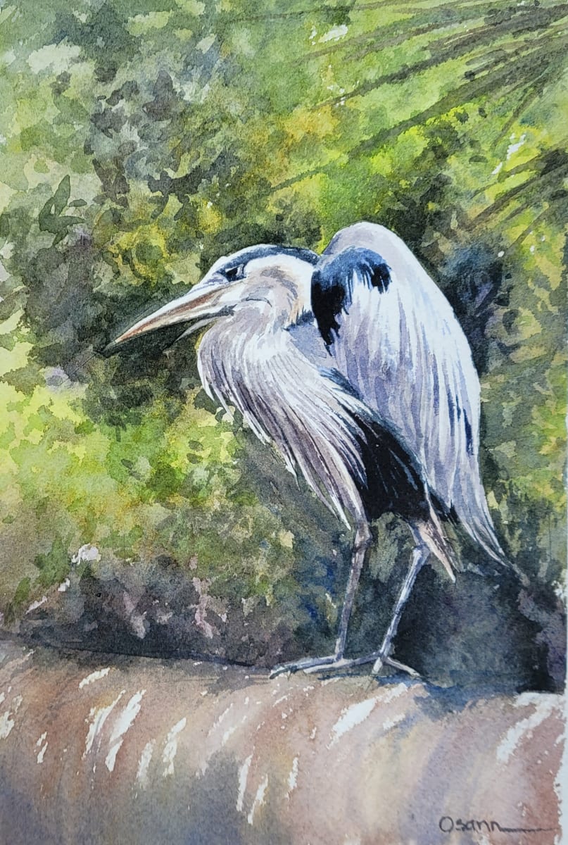 Great Blue by Rick Osann Art  Image: A Great Blue Heron perches on an old pipeline