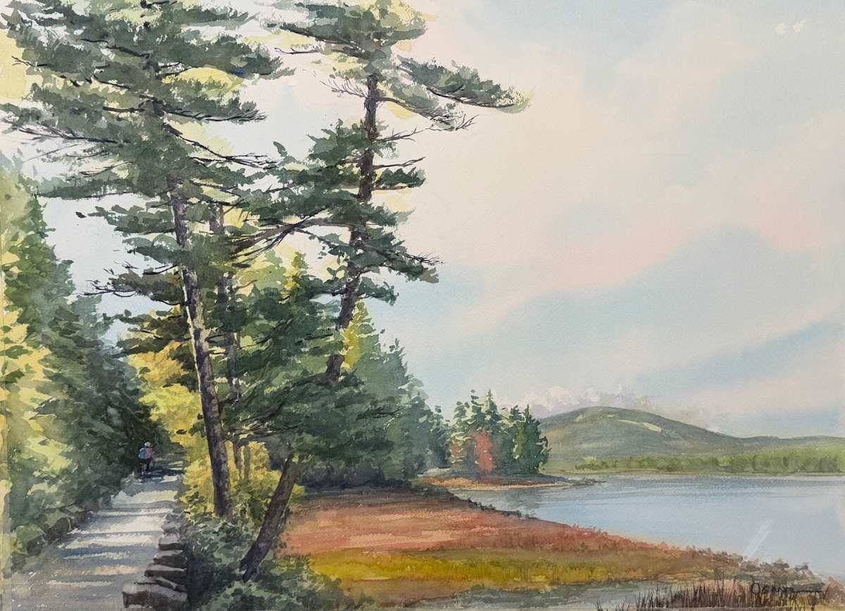 Summer Bike Ride by Rick Osann Art  Image: Light and shadow crosses the Eagle Lake Carriage Road as a lone cyclist heads into the shadows. 