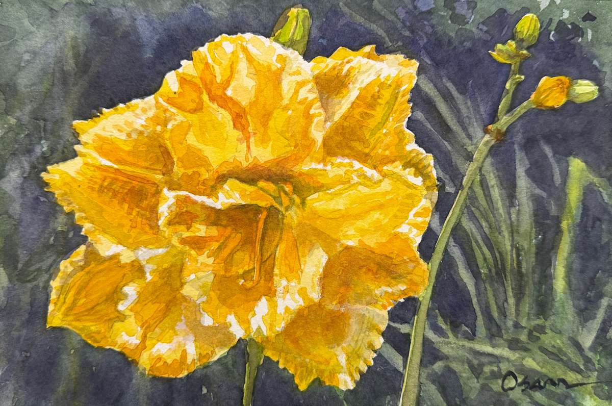 Day Lily Glow by Rick Osann Art, Image 1.