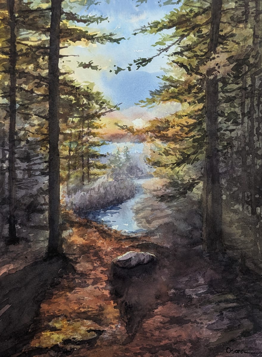 Just Before Sunset by Rick Osann Art  Image: The woods glow with the warmth of the sun as it approaches sunset.