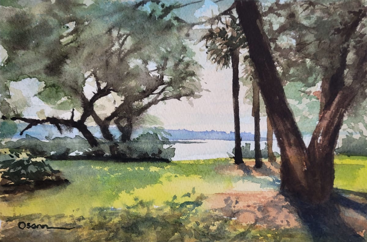 Live Oaks by Rick Osann Art  Image: The afternoon sun shines through the live oak trees and palms of a shoreside garden in Bluffton, SC.