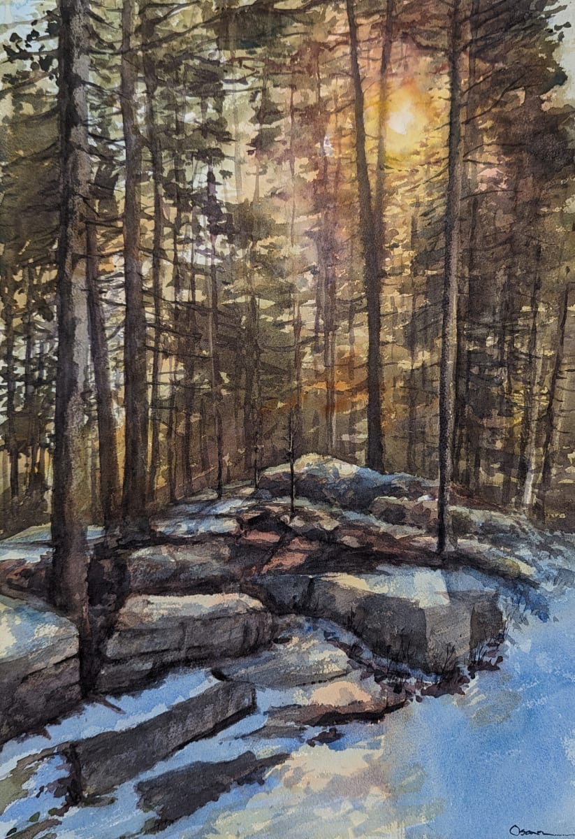 A Little Winter Sun by Rick Osann Art  Image: A Little Winter Sun filters through the trees onto a rocky ledge beside the Eagle Lake carriage road.