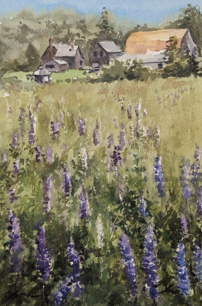 Lupines at Stone Barn by Rick Osann Art  Image: Lupines fill the meadow behind the Stone Barn Farm.