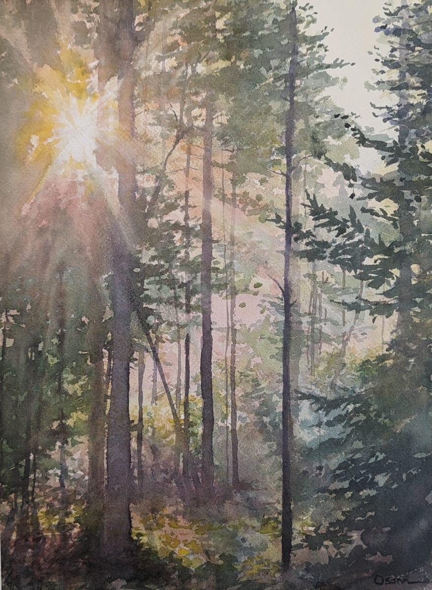 Saturday Morning by Rick Osann Art  Image: The hazy morning sun bursts through the woods.