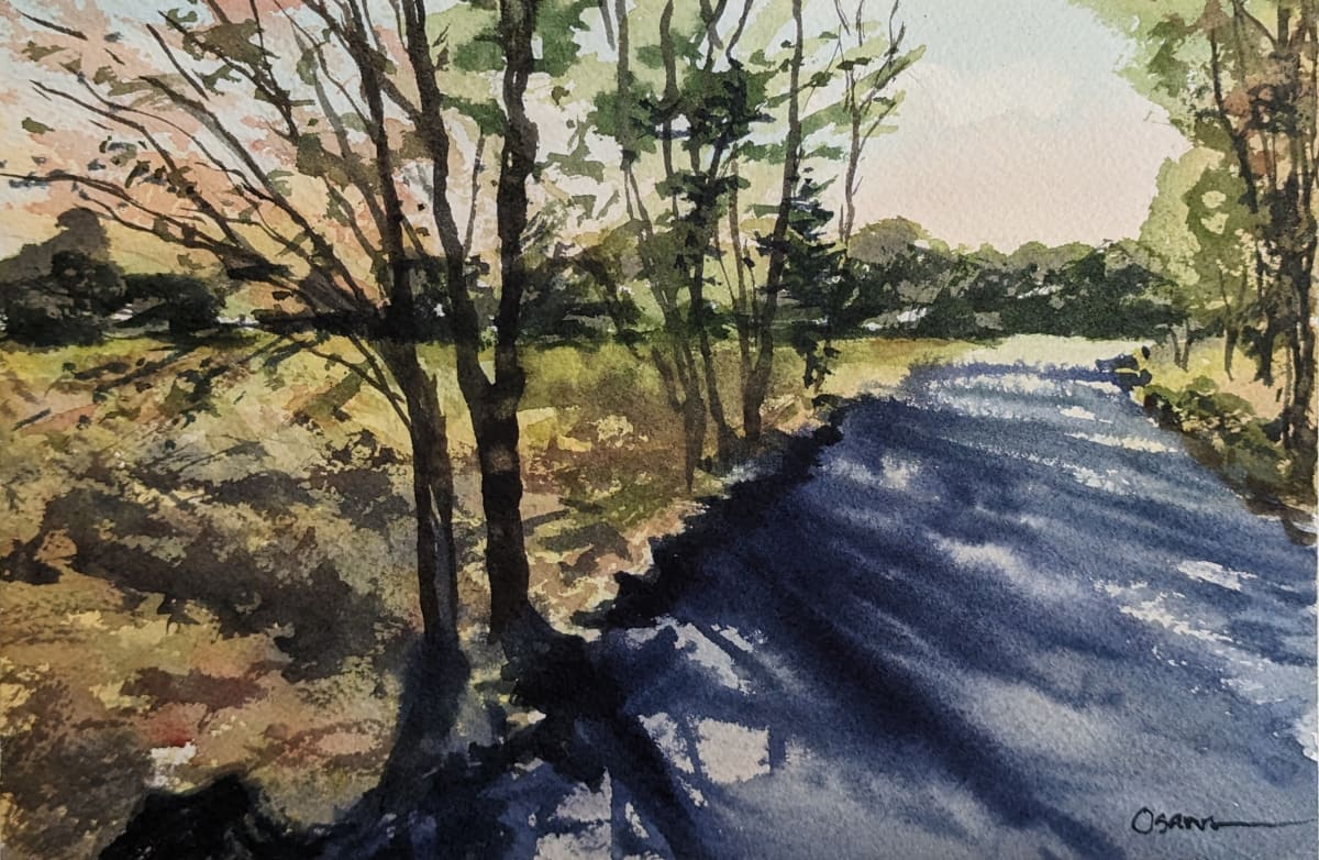 Spring Shadows by Rick Osann Art  Image: The late afternoon sun casts deep shadows through the budding trees