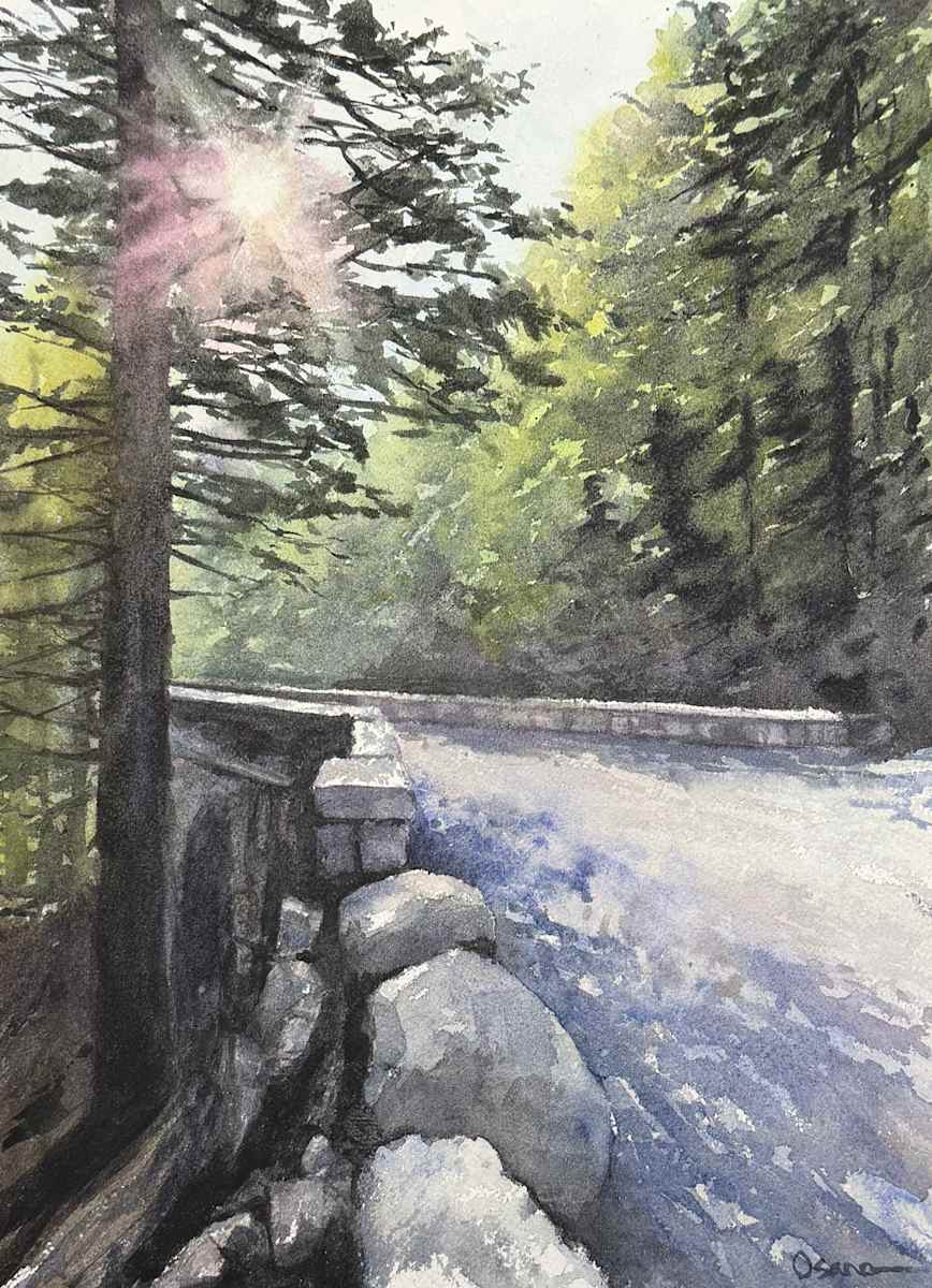 Sun Over Deer Brook by Rick Osann Art  Image: The late afternoon sun filters through the trees over the Deer Brook Bridge carriage road.