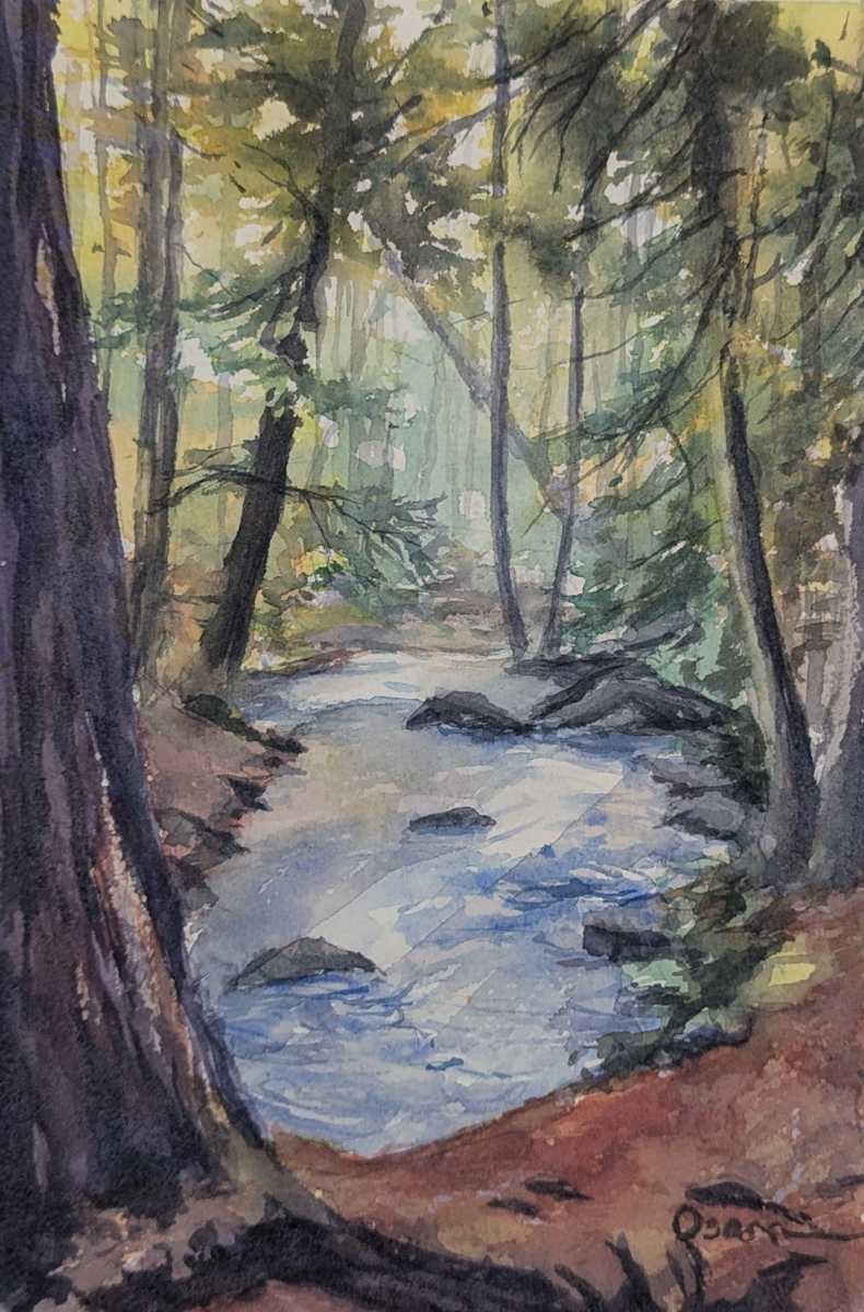 Sunlight Across the Stream by Rick Osann Art  Image: Sunlight breaks through the trees across the Jordan Stream.