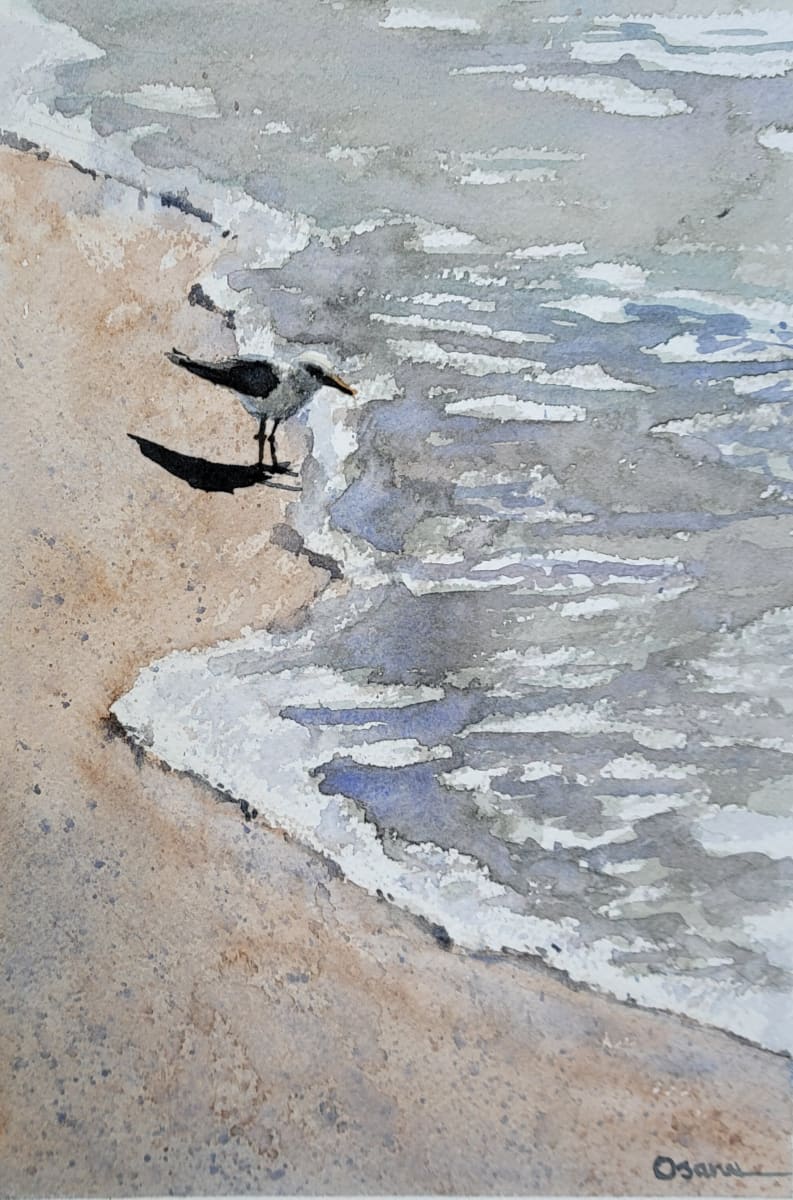 Surf Bird by Rick Osann Art  Image: A bird searches for food along the edge of the surf