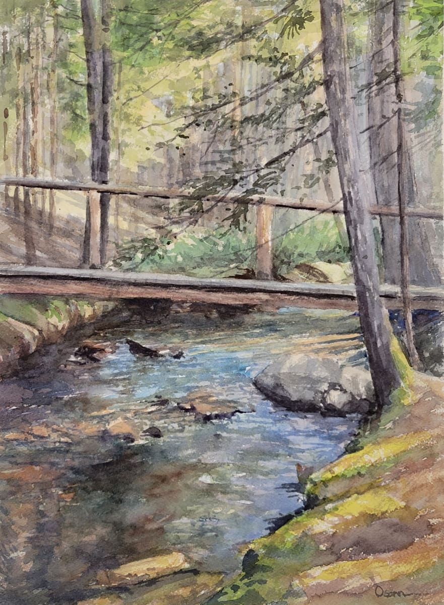 Walking Bridge by Rick Osann Art  Image: A walking bridge crosses Harbor Brook deep in the woods